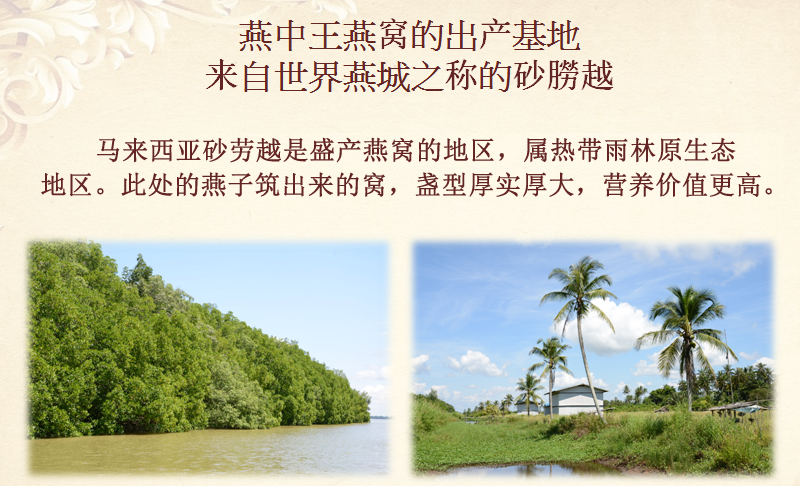 燕中王燕窝 品牌燕窝加盟 马来西亚皇室燕窝