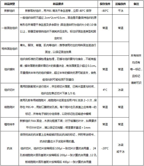 特殊染色560.jpg