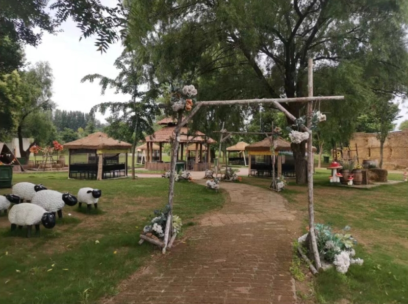 20251203103111_12542.jpg 15.jpg