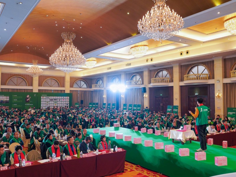 商业模式创新框架的特点