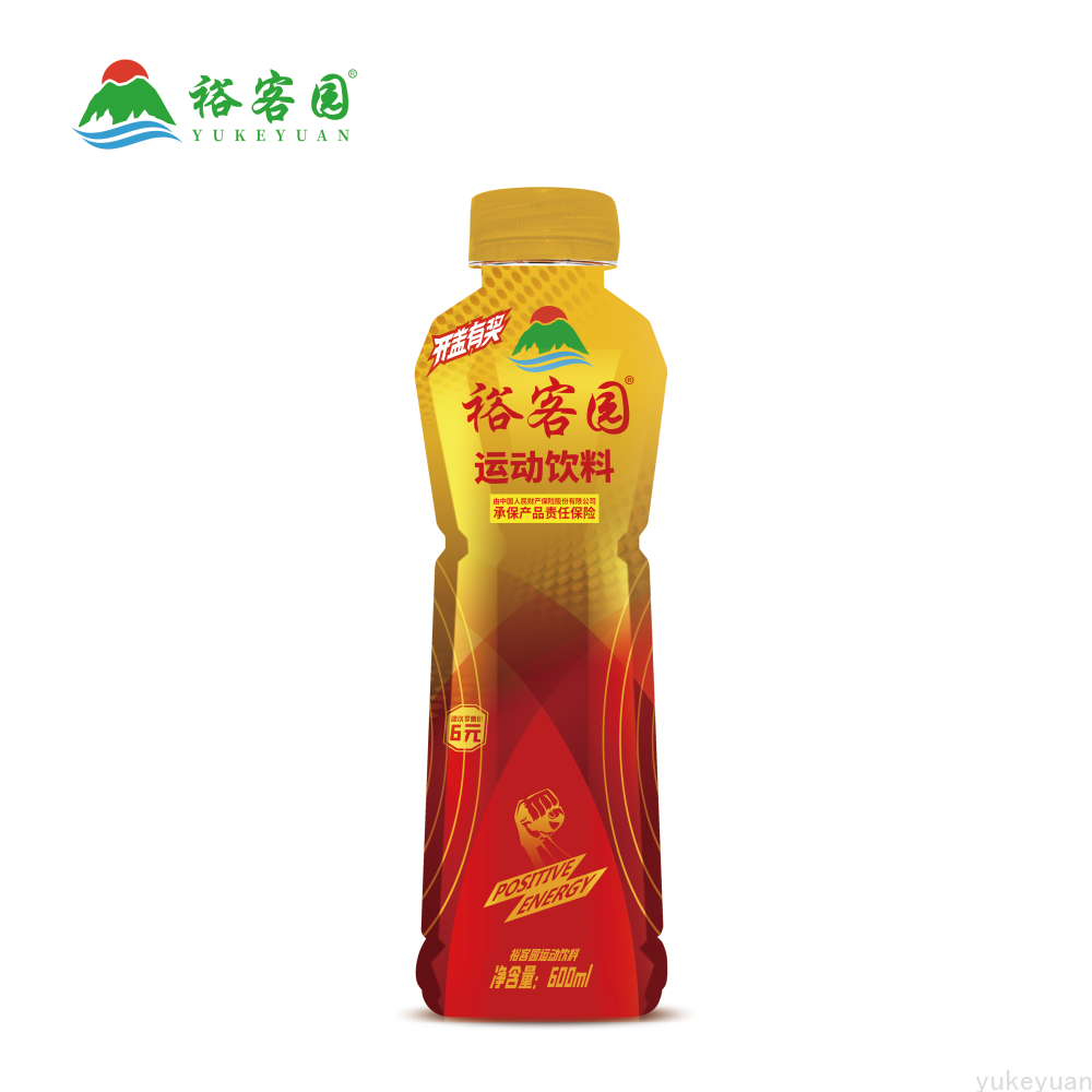 600ml运动饮料（1*15）