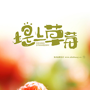 堤上草莓品牌形象设计：从泥土中生长出的甜美承诺
