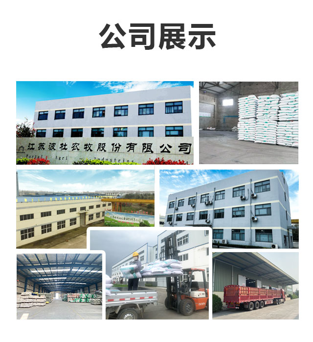 羊三健_12.jpg